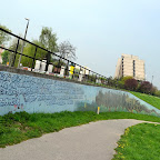 DSC_0425.JPG