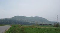 IMG_3442.JPG