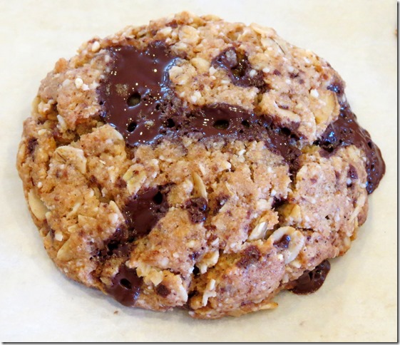 Gluten Free Oatmeal Chocolate Chip Cookies 2