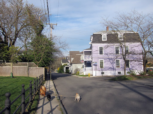 Okay, G.K.!  Let's walk down this street and see what we can find.  Holy-moly!  Will you check out the color of that house!  What were they thinking?
