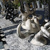R0028091.JPG