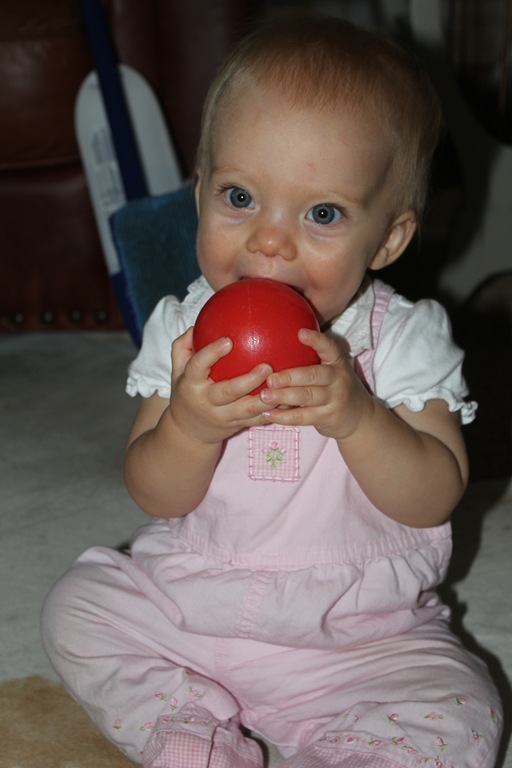 [IMG_56277.jpg]