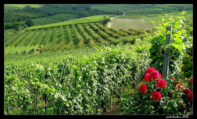 Beautiful European Countryside