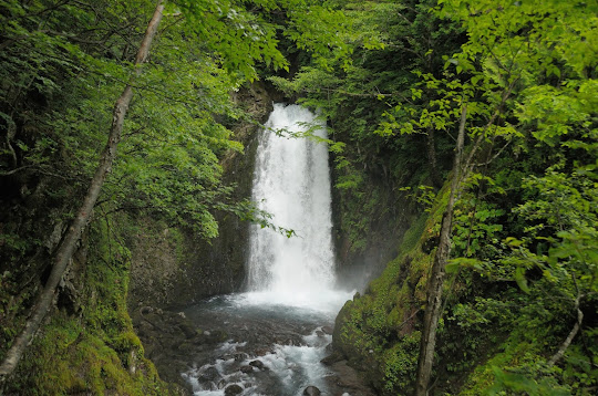 平金大滝