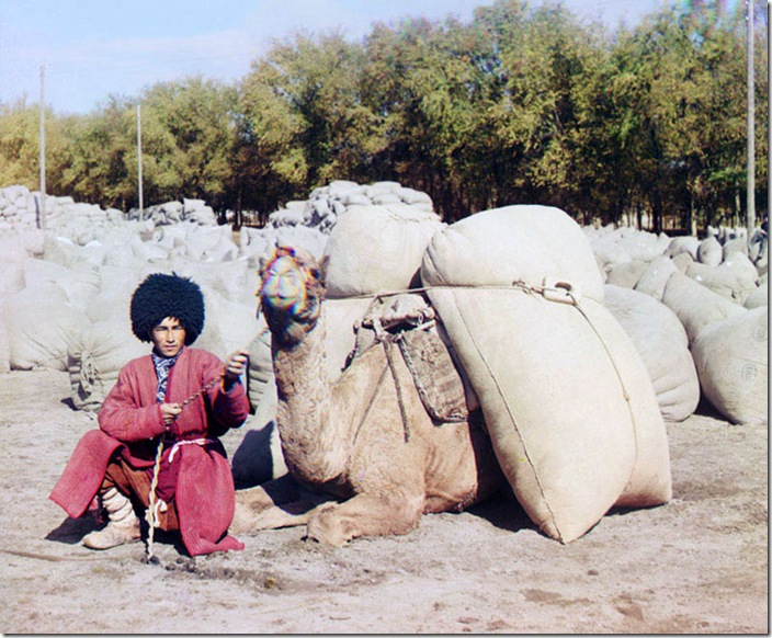 Turkmen-Man-Posing-with-Camel.-.-.-ca.-1907-1915 Turkmen-Man-Posing-with-Camel.-.-.-ca.-1907-1915