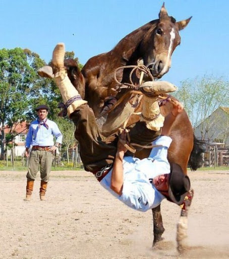New Crazy Funny Pictures from the World