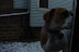 Breezy in the Snow - Winter 2008