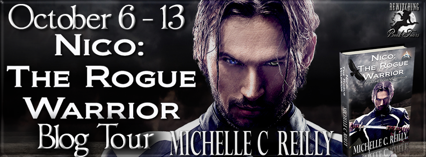 [Nico-The-Rogue-Warrior-Banner-851-x-.png]