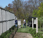 A New Shipment of Honeybees