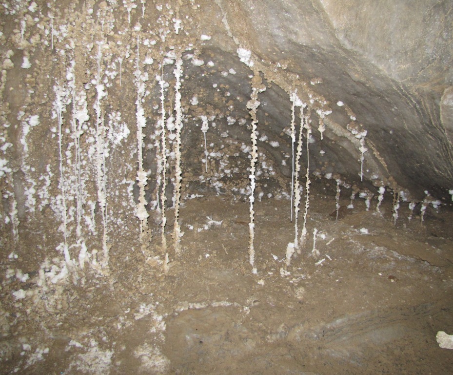 http://lh4.ggpht.com/-J6P7DW5MSOI/TlFExM52ZcI/AAAAAAAAF9c/I_S4zjLvwHY/s1024/IMG_4333.jpg