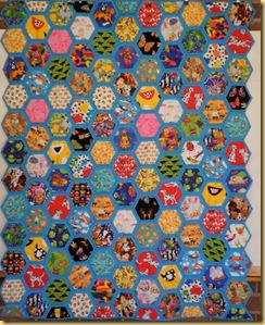 Hexagon I Spy Cheryl G Hexagon I Spy Cheryl G