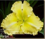 CaribbeanPerfectionPlus.TALBOTT.Tinker's CaribbeanPerfectionPlus.TALBOTT.Tinker's