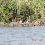 DSCN9489.JPG