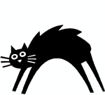 BlackCatNoTail BlackCatNoTail