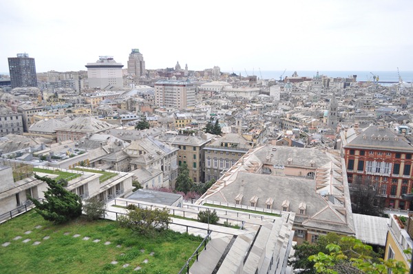 DSC_1340 DSC_1340