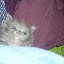 At 4 weeks, 3 days after I got started caring for her. She required feeding as much as possible.