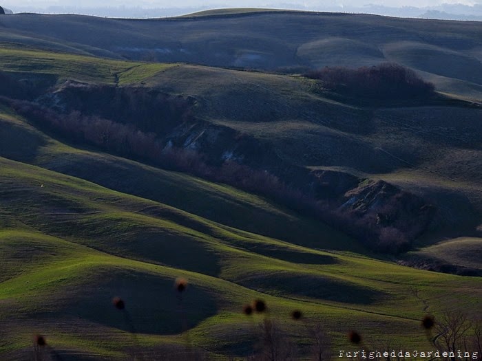 Tuscany hills view Crete Senesi