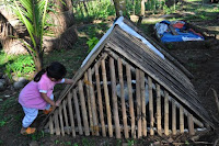 pinoyecofarm december _0145.JPG