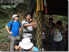 建造涼亭 建造涼亭
