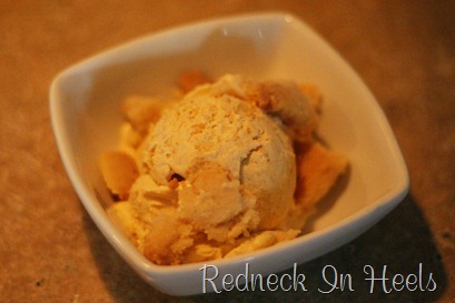 [pumpkin%2520icecream%255B2%255D.jpg]