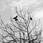 IMG_8767.JPG