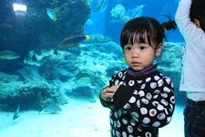 IMG_6576 IMG_6576