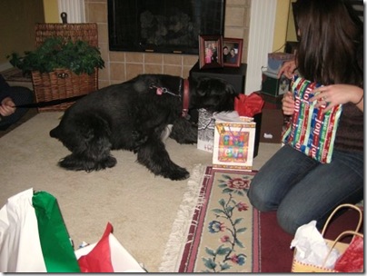 40. Lucy opening gifts