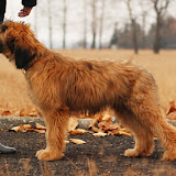 Abi - DSC_0244.jpg