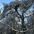 3-1-2010-056.jpg