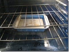 IMG_4905 IMG_4905