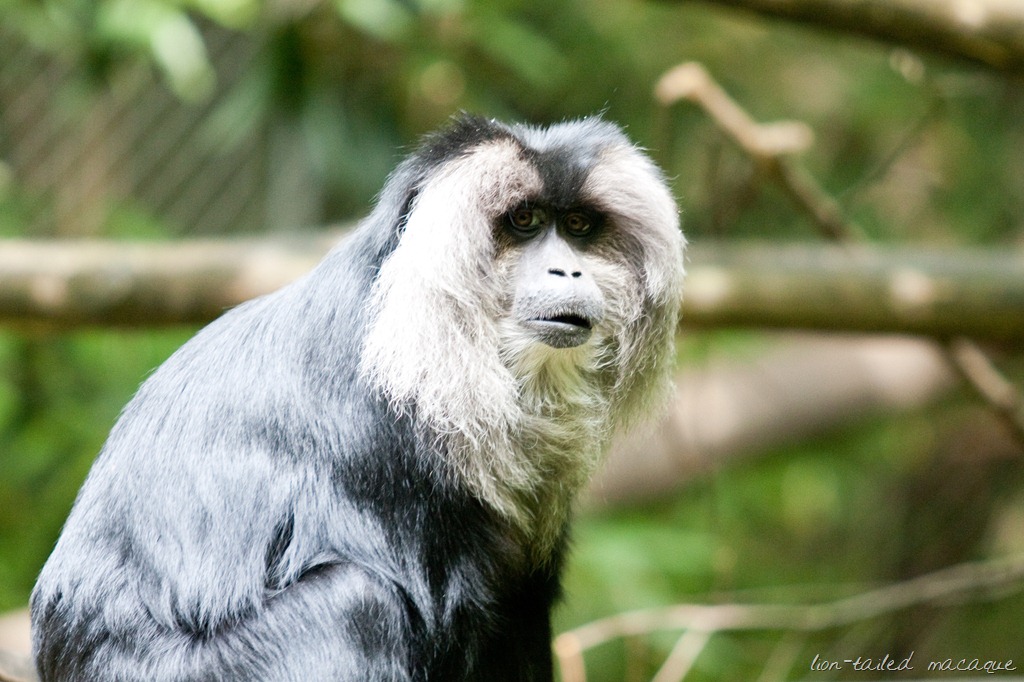 [20120818-IMG_883612.jpg]