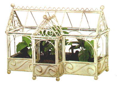 [glassworks.terrarium3.png]
