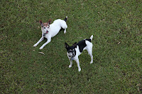Tom and Zoe