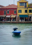 20120415-DSCF1166.jpg