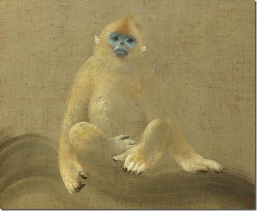 Golden Monkey Golden Monkey
