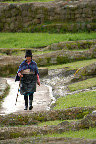 De camino en Ecuador