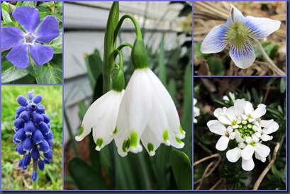 spring blooms