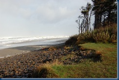 Oregon coast Tilamook 023