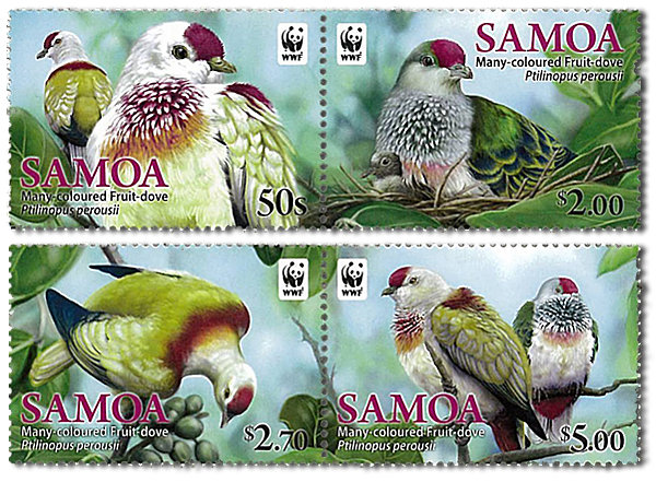 [Fruit-dove-stamp-set4.png]