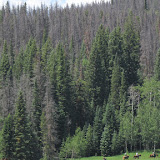 IMG_1170.JPG