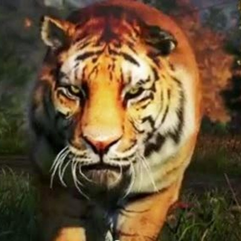 Tiger sind die beste Waffe in Far Cry 4