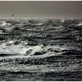 DSCF7475-1.jpg