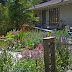 The Sycamore Retreat's extensive gardens attract lots of wildlife.