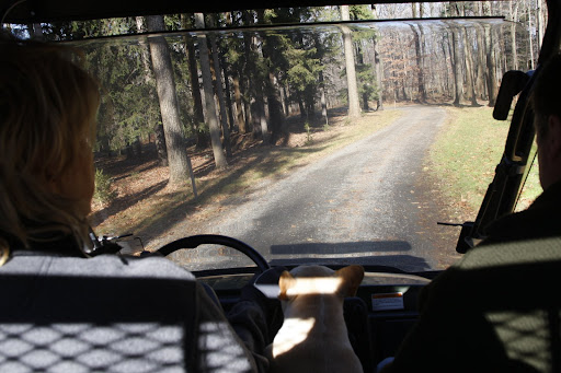 Back on the road and through the woods.  Francesca moved to the back seat.