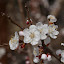 DSC_0543.JPG