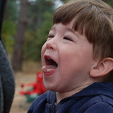 Santa Cruz Camping - New Brighton