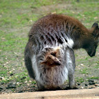 20100402_193.JPG