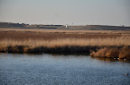 DSC_2169.JPG