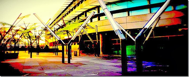 P1090116 P1090116