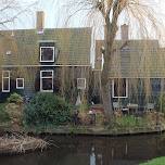 the zaanse schans in zaandam in Zaandam, Netherlands 